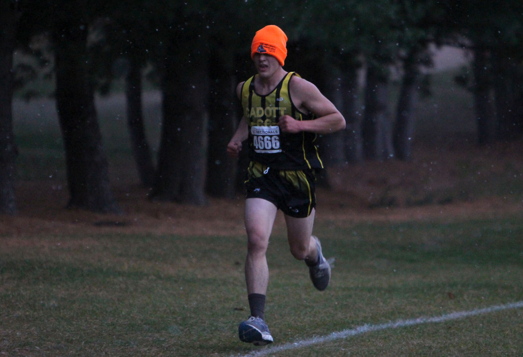 Division 3 Cross Country Sub-Sectional at Colfax 10-19-20